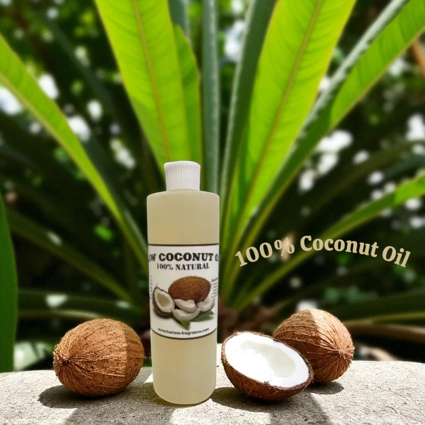 Wholesale 🥥 Harlem Coconut Oil – 100% Natural (Pack 6)