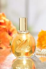Wholesale Gloria Vanderbilt Perfume Pack of 12