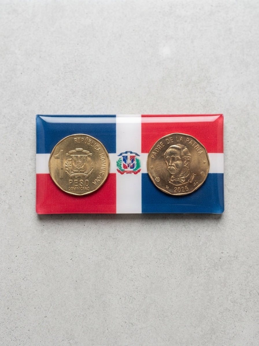 Decorative Fridge Magnets – Dominican Republic Souvenir Collection (Multiple Variants)