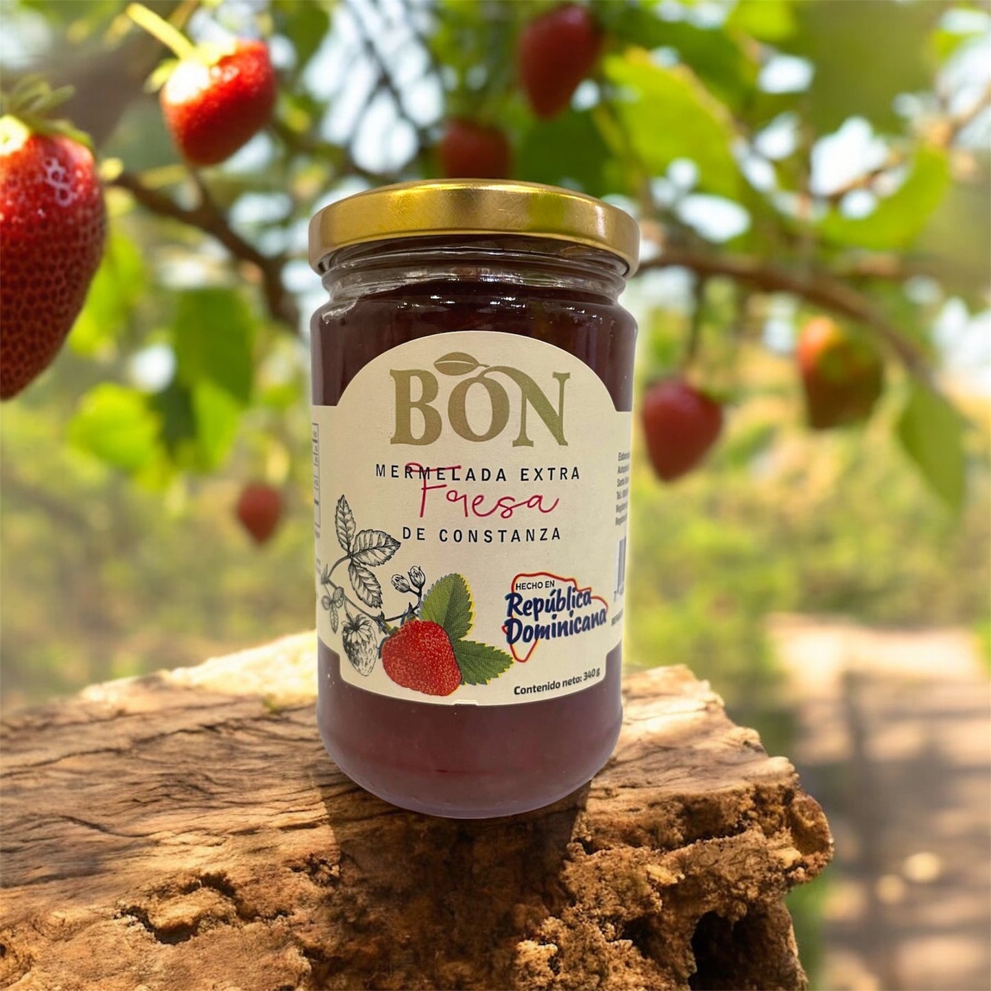 🍓 Bon Mermelada de Fresa – Authentic Dominican Strawberry Jam - 340g