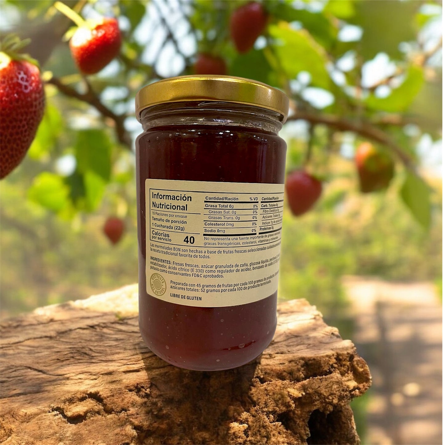 🍓 Bon Mermelada de Fresa – Authentic Dominican Strawberry Jam - 340g