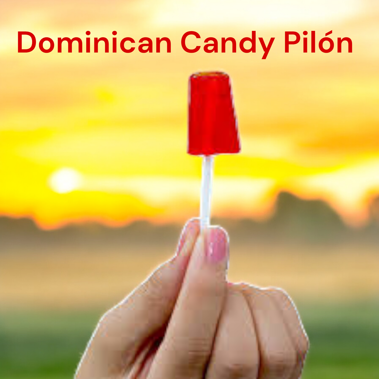 Dominican Lollipop Pilones Pack of 25